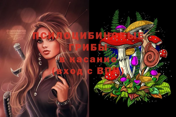 мет Инсар
