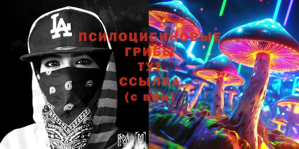 мет Инсар