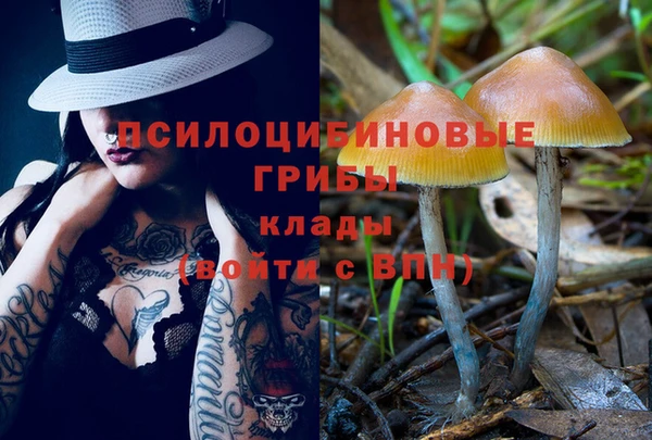 мет Инсар