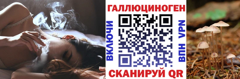 Галлюциногенные грибы Magic Shrooms  как найти закладки  Кимовск 