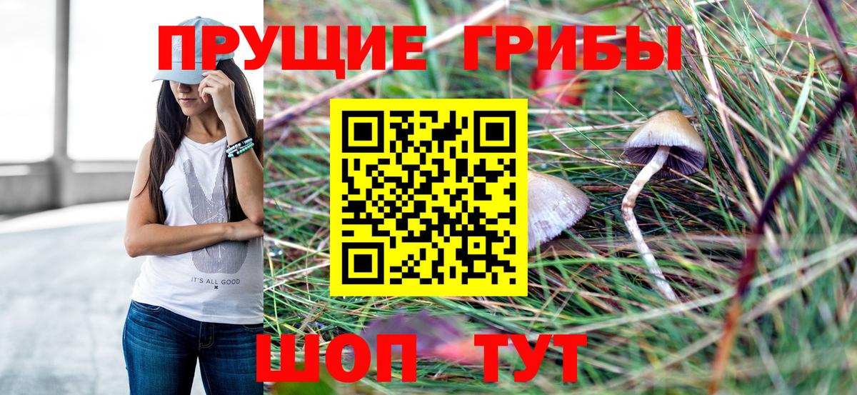 Кимовск  Галлюциногенные грибы Cubensis  Вход с VPN 